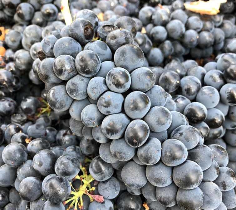 ¿Qué son los premios y cómo valen?