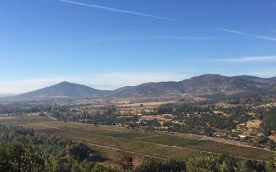 ¿Quién es Gillmore Wines?