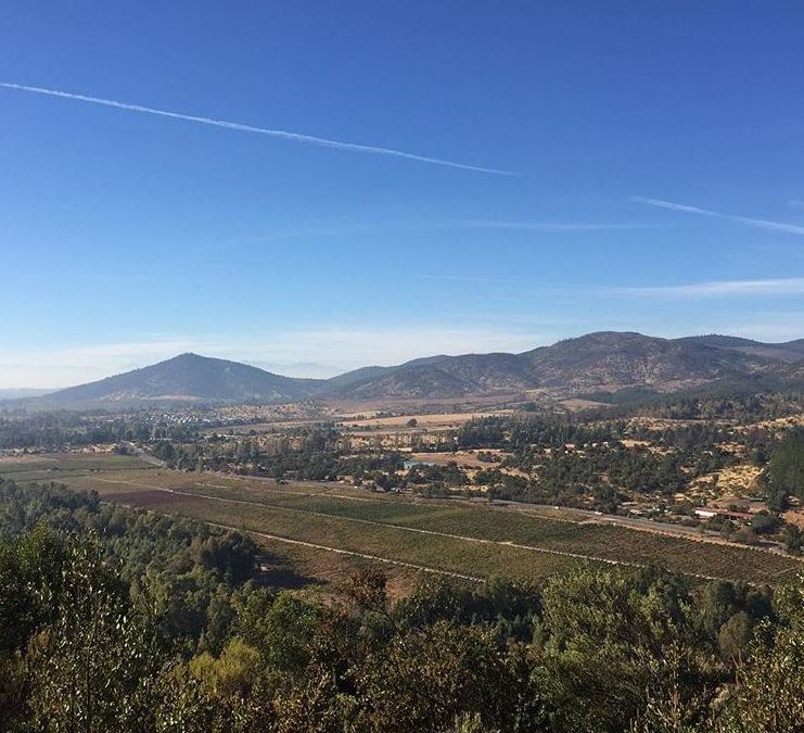 ¿Quién es Gillmore Wines?