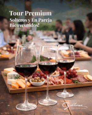 Tour Premium Tabonko