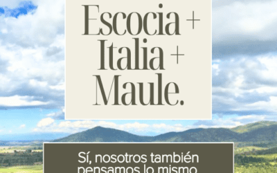 Historia de Gillmore Wines