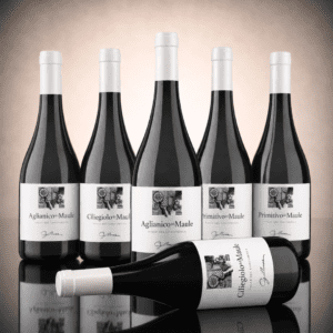 Selección Aventurera
