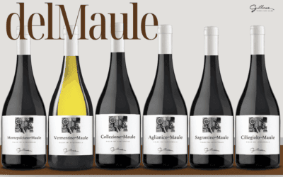 La Línea delMaule
