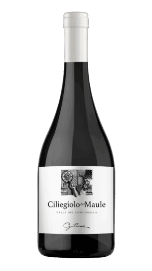 DELMAULE - CILIEGIOLO