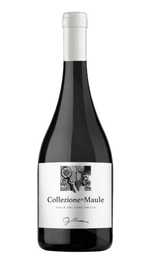DELMAULE - COLLEZIONNE