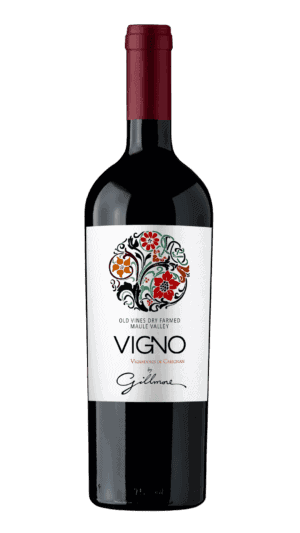 VIGNO